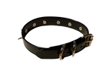 Load image into Gallery viewer, Mini Spike Studded Dog Collar
