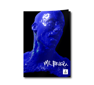 Mr Bruce Recycled Zine Front