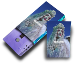 Load image into Gallery viewer, Elisabeth Elektra - ‘Mercurial’ Ltd Edition Cassette &amp; Mini Zine Duo- Recycled Lilac
