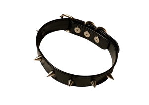 Mini Spike Studded Dog Collar